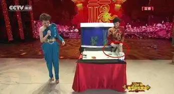 谢娜春晚节目被毙盘点历届春晚穿帮镜头图集
