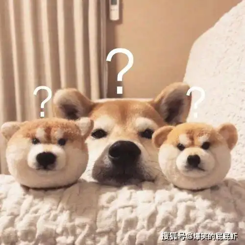 搞笑gif为了个座位至于吗旁边大妈的表情亮了
