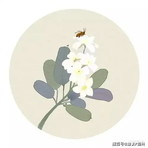 清代最有趣的一首诗,只有短短4句却像看电影,还被选入小学课本
