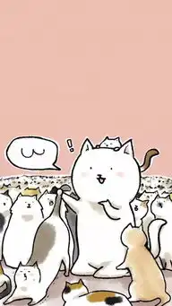 每日壁纸
