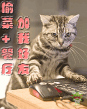 qq表情搞笑qq表情古怪趣味偷菜餐厅加我好友
