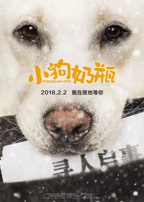 贺岁片来袭爆笑过大年
