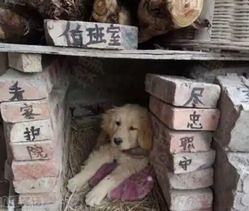 搞笑段子笑话幽默图片放屁,我就是你老婆
