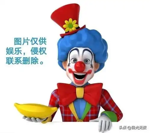 精选搞笑图片合集第146期哥们你不是打伞,是打了棵椰树

