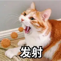 幽默笑话,当年我便是看上了你妈武功盖世
