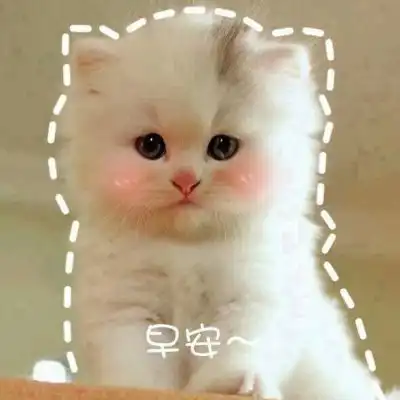 可爱猫咪带字头像搞笑图片大全2018伸手怕犯错缩手怕错过
