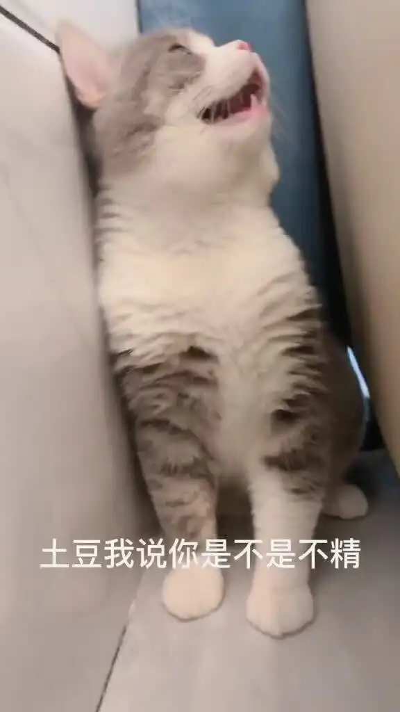 蹦迪玩到疯,累成狗的傻冒选手,太好笑了
