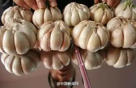 不想让长假过得糟心,来看这篇文章吧
