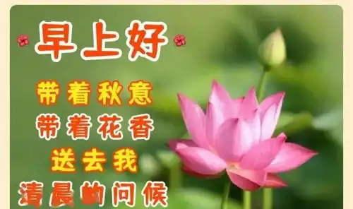 早上好图片带字带祝福语免打字聊天的秋日清晨早安问候祝福语图片文字
