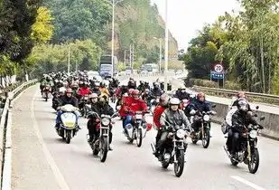 随驾联盟告诉你2017年必须学车的8大理由
