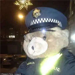 在冰岛当警察是什么感受
