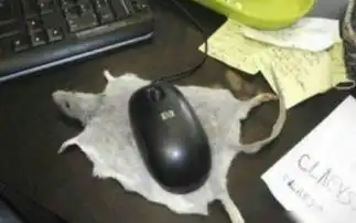 真鼠标垫
