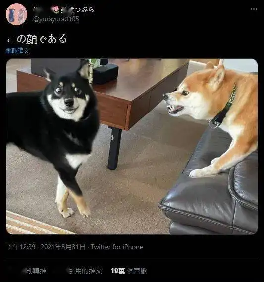 你头像太不正经了,赶紧给我换了妈妈又逼着我换头像
