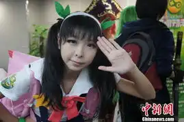 深圳动漫节组织多项活动追求好玩原创时尚动感
