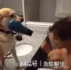 搞笑gif图合集五十五我二哥喝醉了,跟电线杆打起来了
