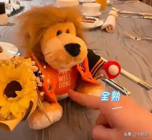 雅琼vlog全红婵送别人乌龟,送孙佳俊的最独特分享马龙的冷幽默
