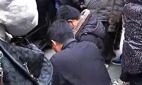 人跪狗事件已达成谅解跪者想不赔钱
