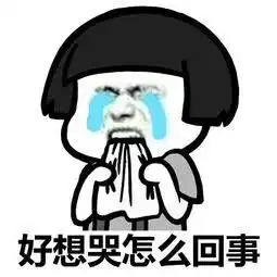 小长假余额不足四会这些好玩的项目赶紧过来嗨
