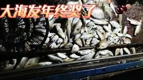 大风把海鲜都刮过来了,渔获是一网比一网多,像是大海在发年终奖
