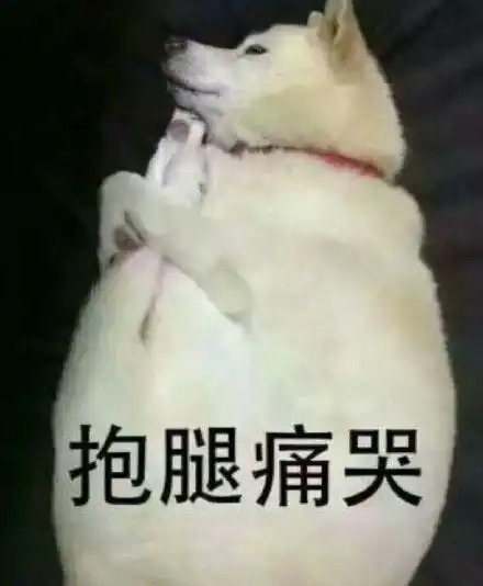 狗表情包搞笑
