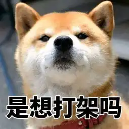 单身如何过七夕最强拯救单身攻略来啦
