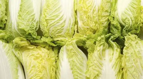 温馨提醒这8种食物能稳定血糖,糖尿病患者不妨多吃一点
