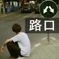 类似这种头像
