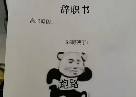 00后辞职申请走红,既搞笑又不缺少幽默,网友看后竖起大拇指
