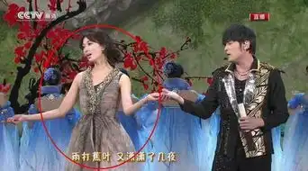 谢娜春晚节目被毙盘点历届春晚穿帮镜头图
