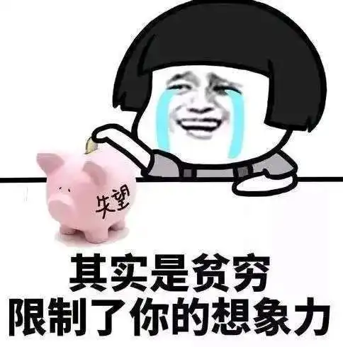年入不到300w,不配买lv
