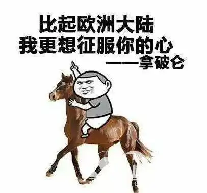 搞笑gif趣图是不是觉得天太热了,要下去凉快凉快
