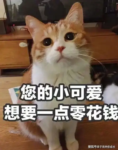 小螃蟹没钳了大学生花式要生活费走红,母亲回复令人捧腹
