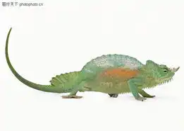 动物表情0226动物表情图动物图库
