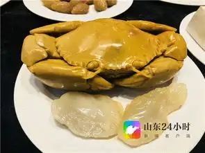 图说文博会丨疯狂的石头c位出道文博会上的全石宴太馋人
