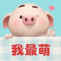 呆萌猪头像微信头像微信头像图片大全
