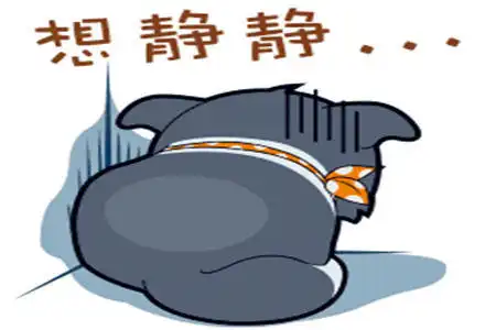 幽默笑话未来岳母大人太强势了,没办法只能租了辆保时捷去拜访
