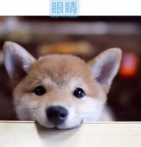 爆笑表情包图片大全第21期
