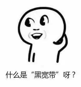 这么漂亮的女生竟是搞黑宽带的获利10万多元,就在斗门周边
