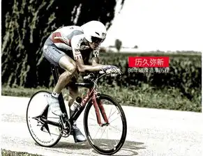 全球十大自行车品牌frw辐轮王2019共享单车模式正走向清晰
