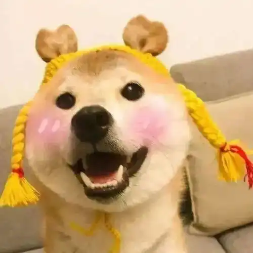 今日头像丨一起做快乐小沙雕
