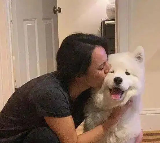 养狗以后,我没对象了
