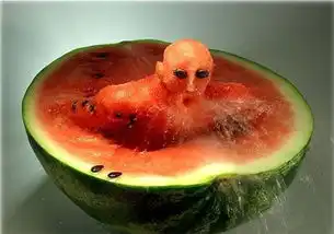 求些好玩搞笑的图片
