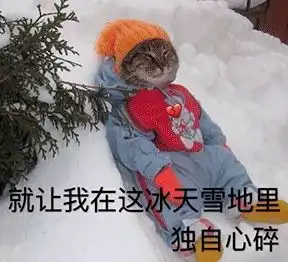 今冬最冷一天,在昌平街头
