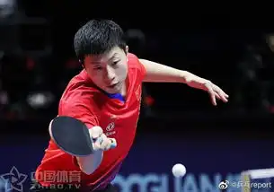 刘国梁张继科观战马龙比赛
