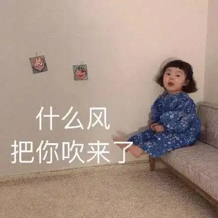 斗图必备表情包i干嘛这么对我
