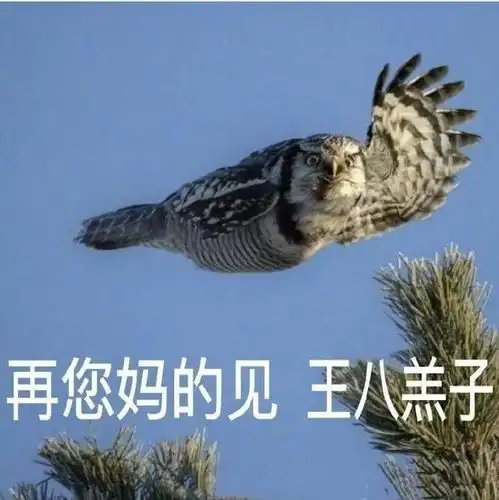幽默笑话可能财神是想告诉你,能活着就不错了,你还想要钱
