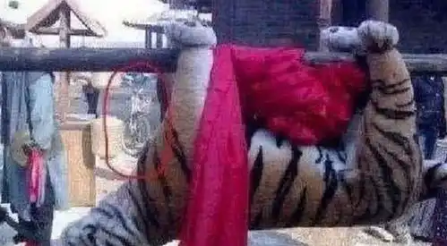 尴尬的穿帮镜头,张无忌我练功那么辛苦,穿凉鞋不过分吧
