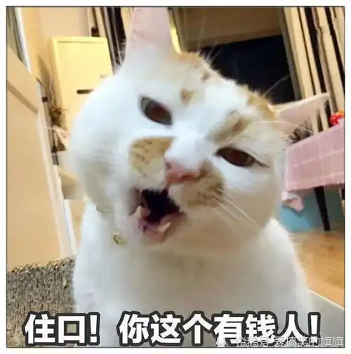 幽默笑话因为嘴巴用得多,脑袋用得少

