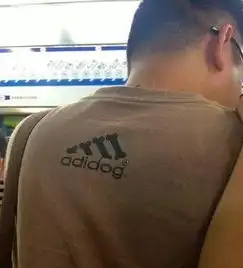 搞笑图片如果前面刹车,是不是得出人命啊
