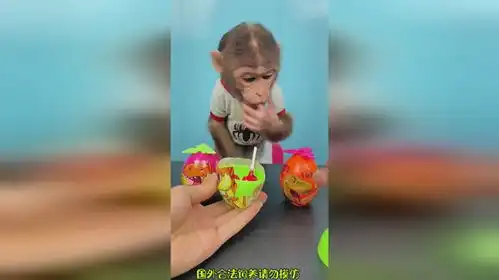 好可爱的小猴子吃货猴子搞笑
